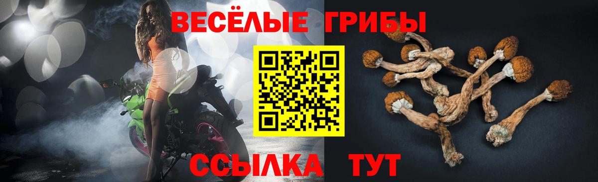 Псилоцибиновые грибы мицелий  Вход с VPN  Биробиджан 